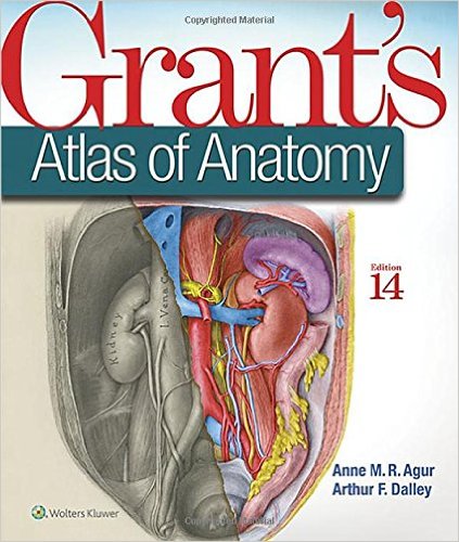 Grant’s Atlas of Anatomy 14th Edition – Original PDF