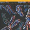 The Chromosomal Imbalance Theory of Cancer: The Autocatalyzed Progression of Aneuploidy is Carcinogenesis – Original PDF