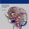 Neurovascular Surgery 2nd Edition – Original PDF + Videos