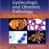 Diagnostic Gynecologic and Obstetric Pathology: An Atlas and Text – PDF