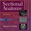 Introduction to Sectional Anatomy (Point (Lippincott Williams & Wilkins))