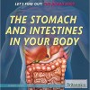 The Stomach and Intestines in Your Body – Original PDF