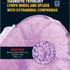 Diagnostic Pathology: Lymph Nodes and Spleen with Extranodal Lymphomas – High Quality Scan PDF – ( Bookmarked + OCR )