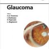 Glaucoma (ESASO Course Series, Vol. 8) 1st Edition – Original PDF