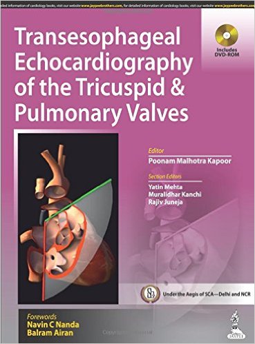 Transesophageal Echocardiography of the Tricuspid and Pulmonary Valves – Original PDF