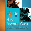 How Enzymes Work: From Structure to Function – Original PDF