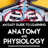 An Easy Guide to Learning Anatomy and Physiology – EPUB