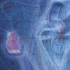 Cardiovascular Review Course for Cardiology Boards and Recertification- Videos+PDF+ Extra